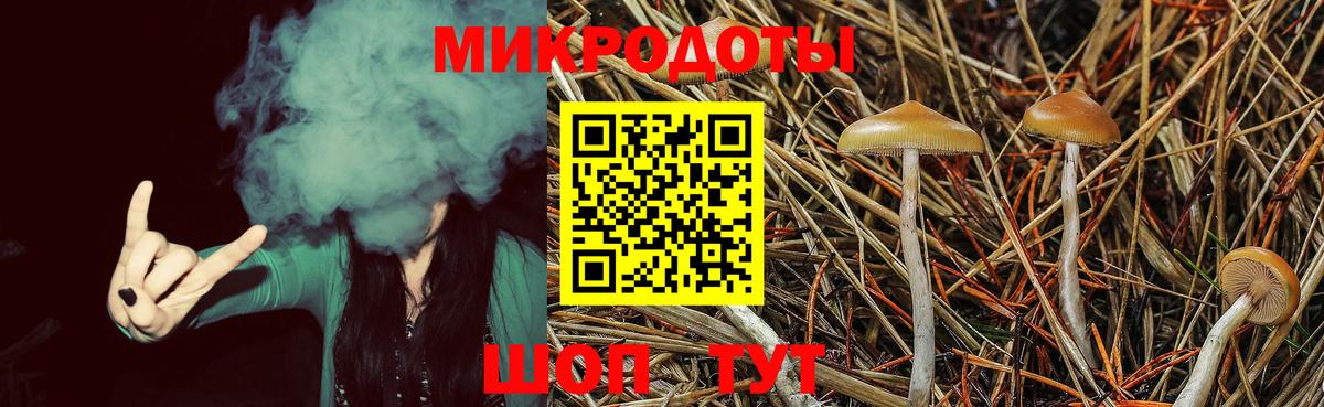 Новочебоксарск  Псилоцибиновые грибы Magic Shrooms  Вход с VPN 