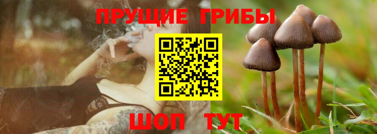 Галлюциногенные грибы прущие грибы Новочебоксарск